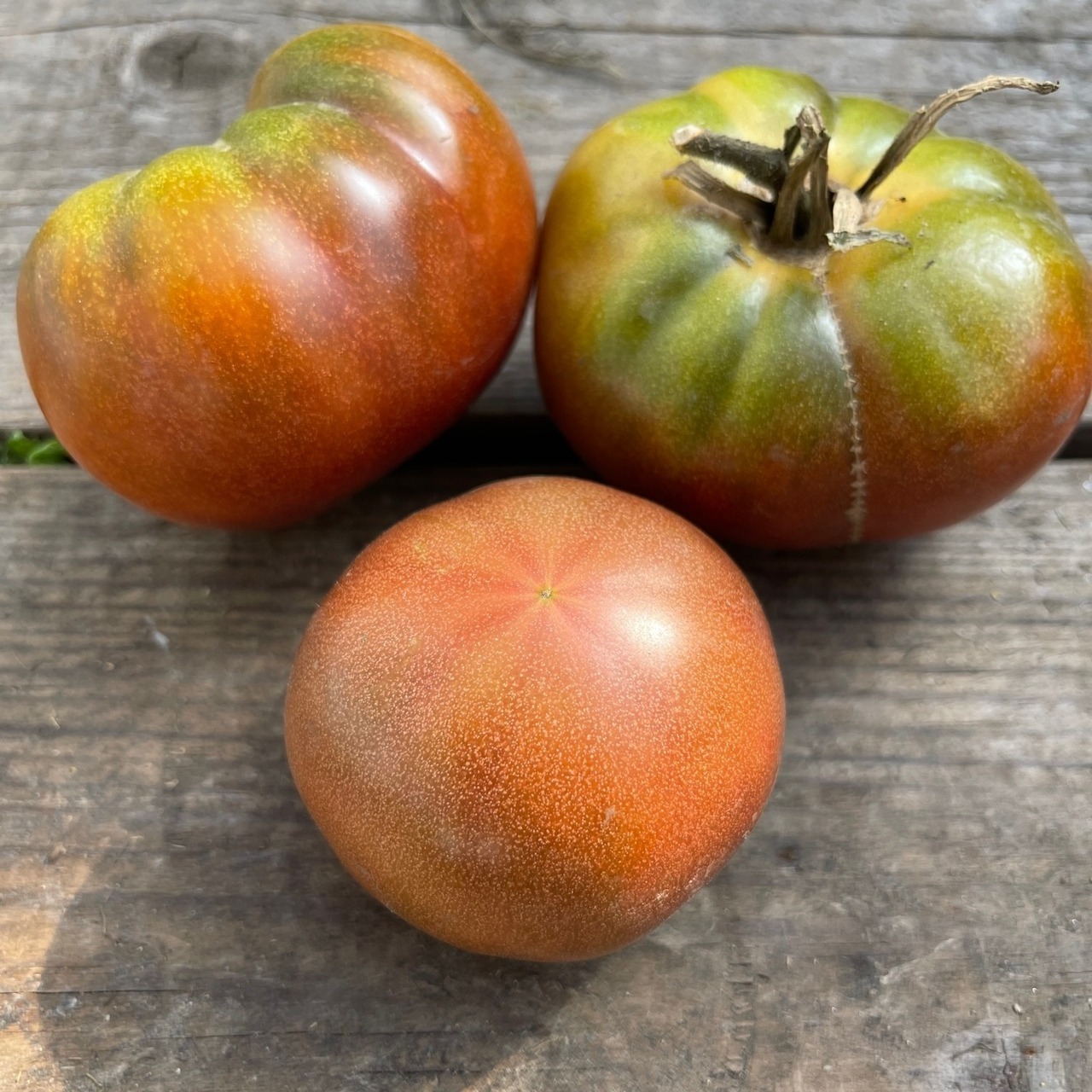 Tomate „Black Krim“ - BIO-Tomatensorte [samenfest]