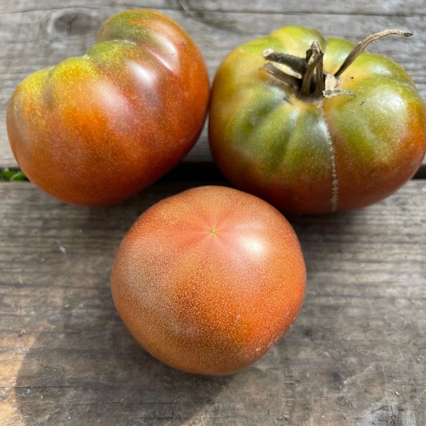 Tomate „Black Krim“ - BIO-Tomatensorte [samenfest]