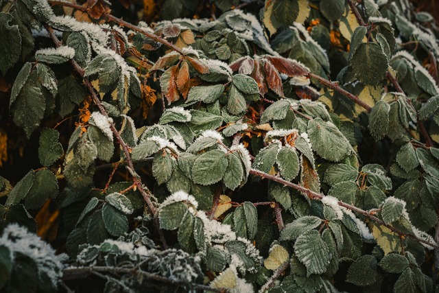Bild von Aussaat im Februar: Welches Gemüse vorziehen | Bee