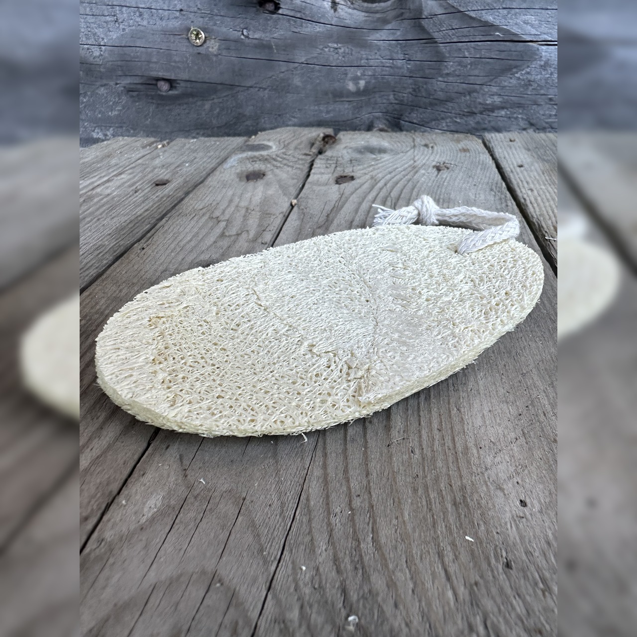 Luffa Schwamm Peeling Pad - plastikfreier Naturschwamm 1 Stck.