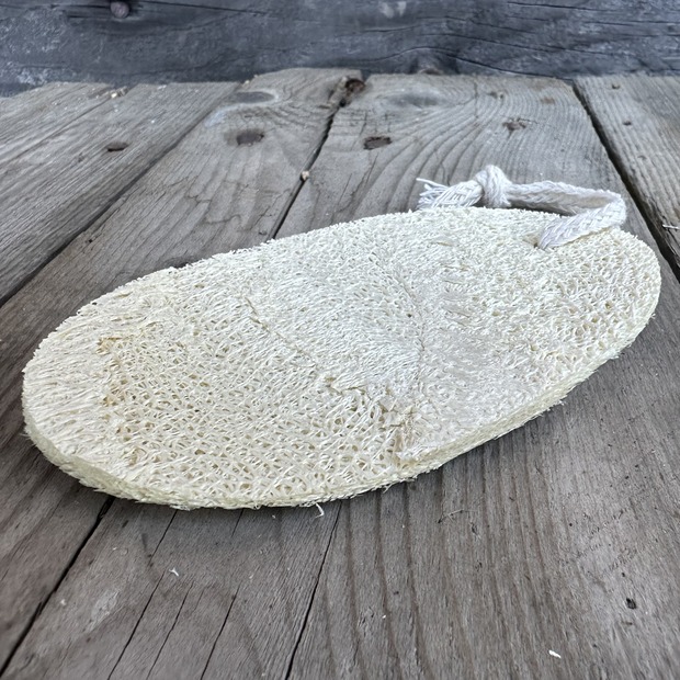 Luffa Schwamm Peeling Pad - plastikfreier Naturschwamm 1 Stck.