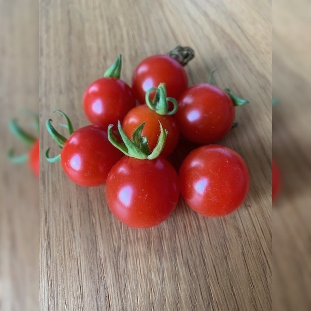 Tomate "Dicks Cherry" - BIO-Tomatensorte [samenfest]