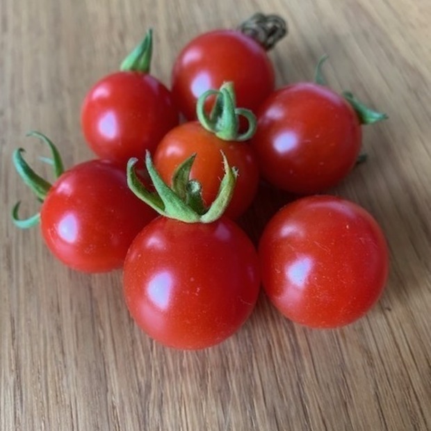 Tomate "Dicks Cherry" - BIO-Tomatensorte [samenfest]
