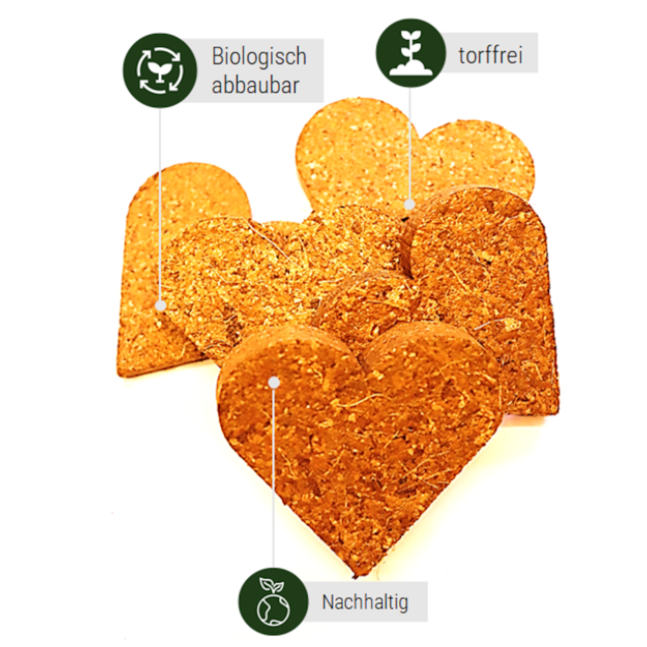 Kokos Quelltabletten in Herzform - Anzuchterde 55mm [torffrei]