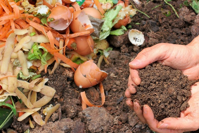 Bild von Organischen Dünger selber machen: Natürliche Tipps