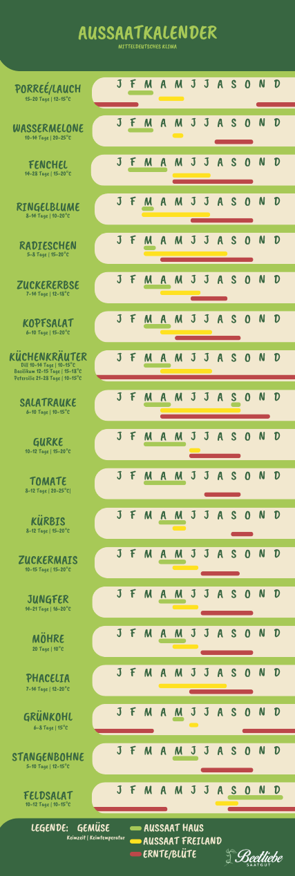 aussaatkalender, gemüsesamen, adventskalender, infografik