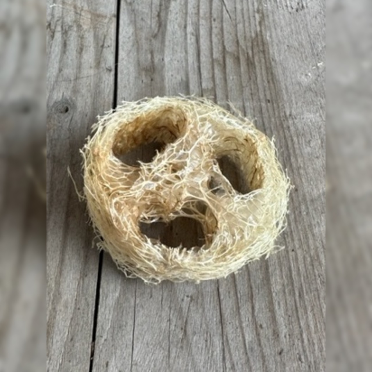 Luffa Seifenkissen (Naturschwamm)