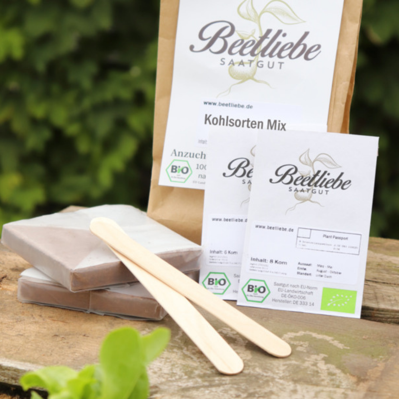 Anzucht-Set "Kohlsorten Mix" [41, 42]