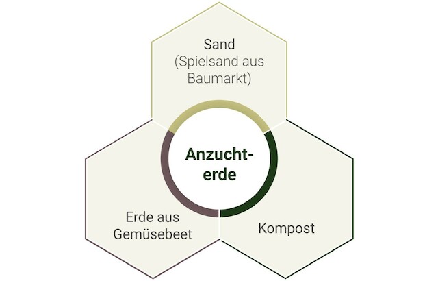 Anzuchterde, Aussaaterde, selber machen, Beetliebe, Blog