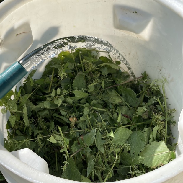 Brennnesseljauche - Bio Flüssigdünger 250 ml