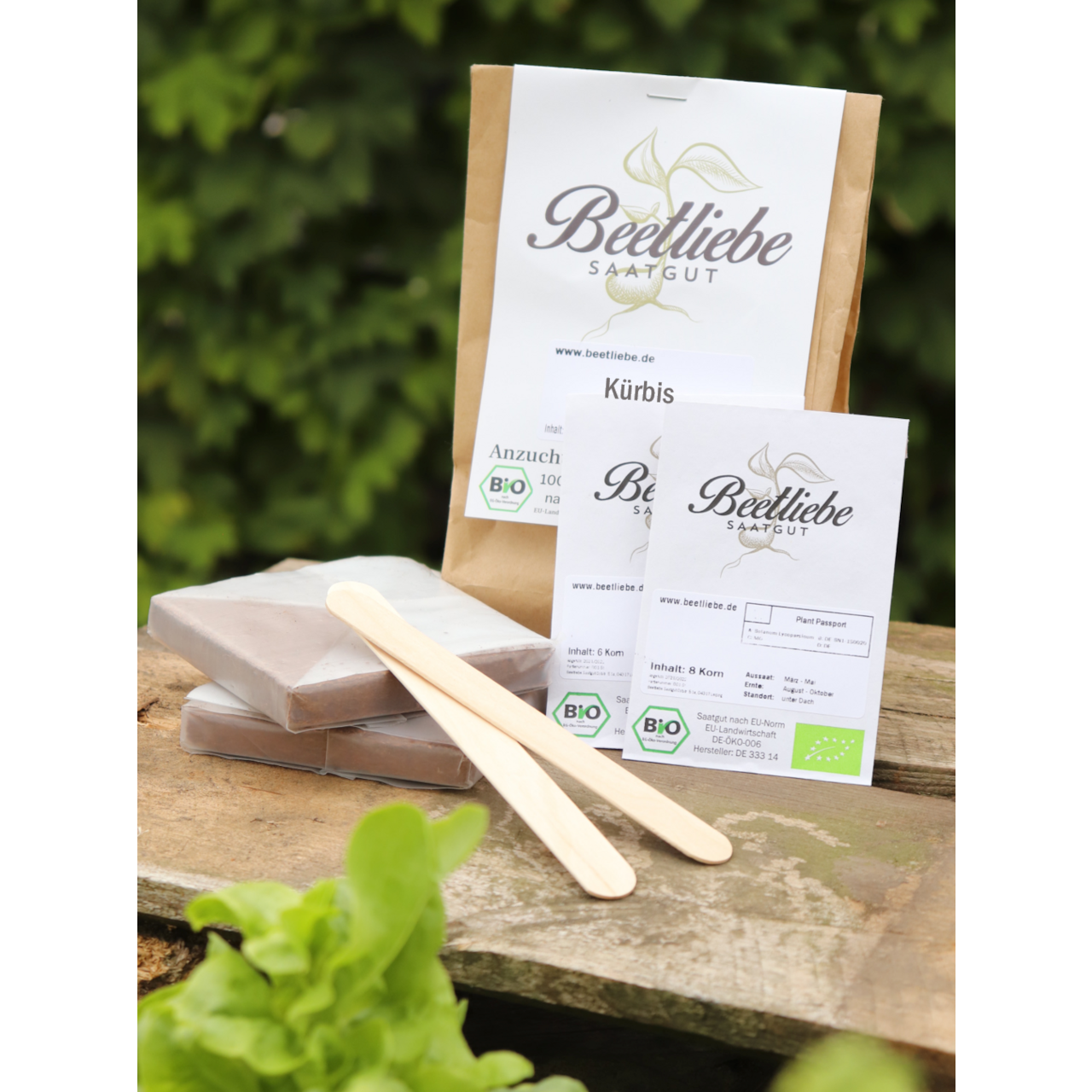 Anzucht-Set "Kürbis" [60, 61]