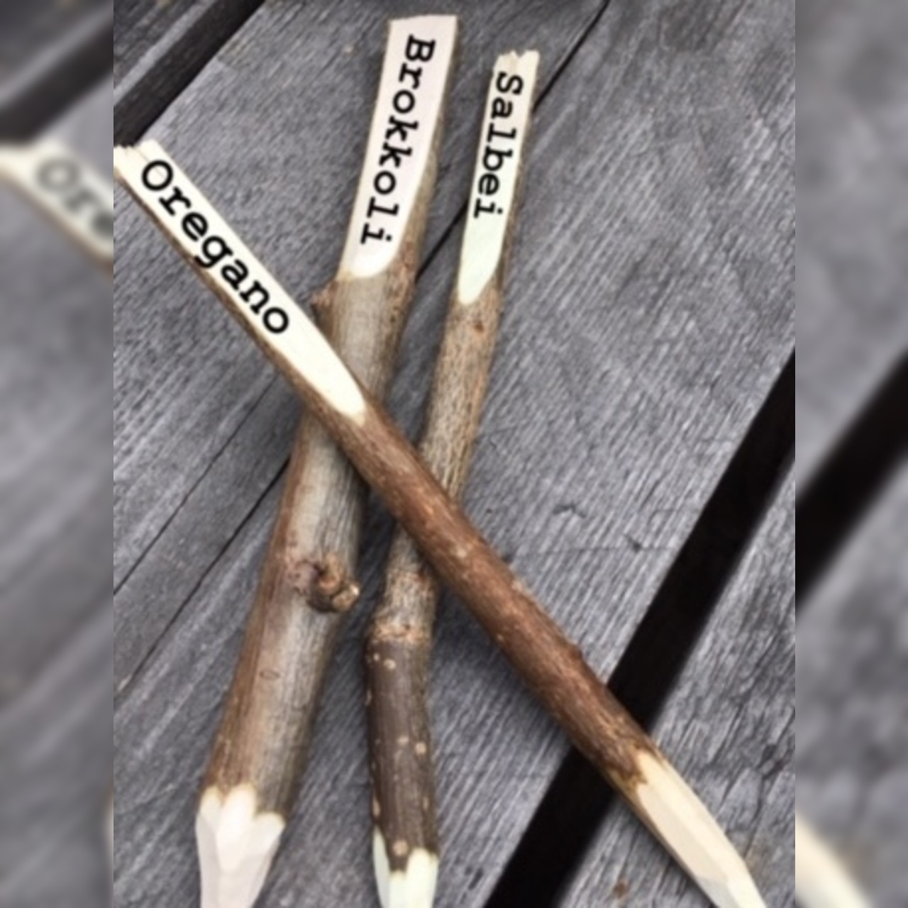 Pflanzenschilder zum Beschriften