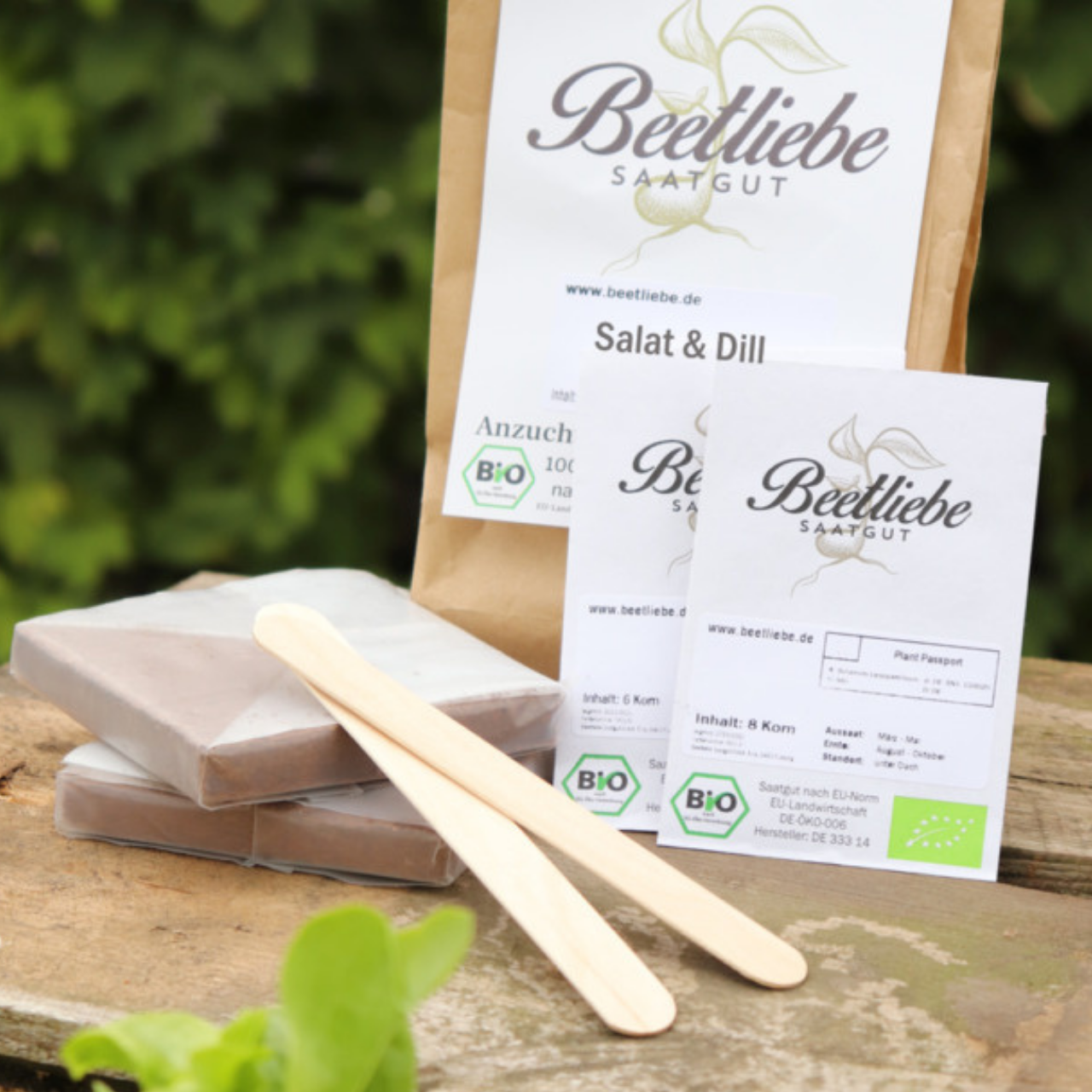 Anzucht-Set "Salat & Dill" [1029, 4004]