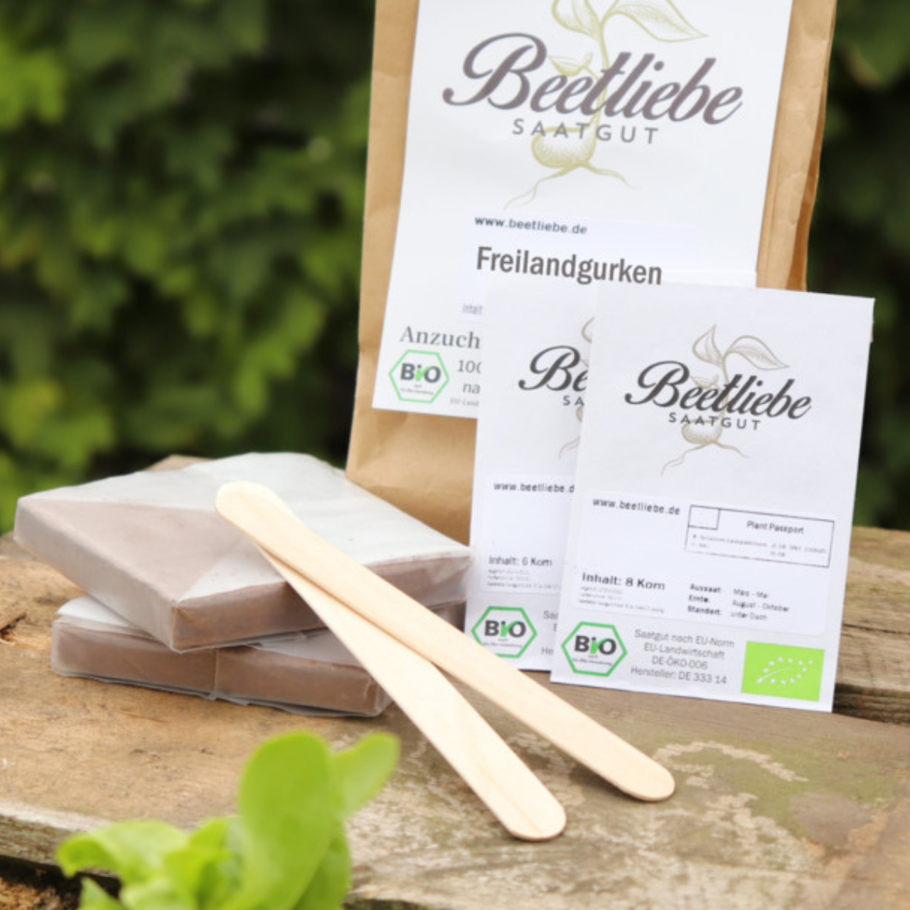 Anzucht-Set "Freilandgurke"