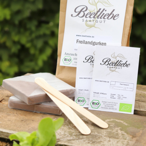 Anzucht-Set "Freilandgurke"