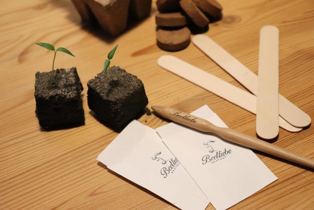 Bild von Aussaatkalender 2026 (PDF) ❤️ Gemüse vorziehen & s