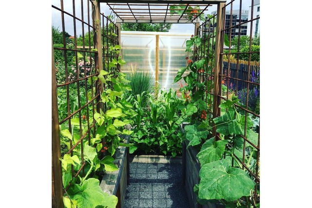 Bild von Rankgitter - stabil, flexibel und selbstgebaut - B