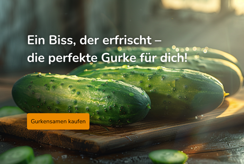 Titelbild beetliebe.de