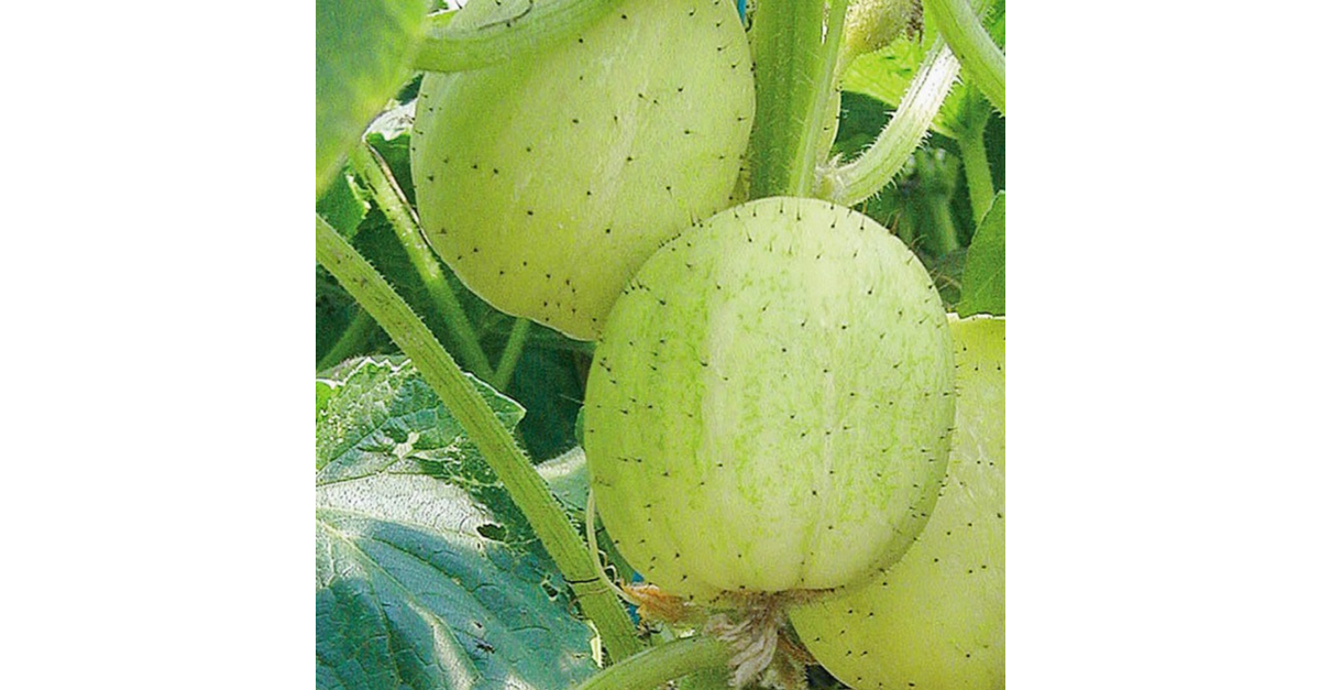 künstliche hortensien Rote künstliche Hortensie - Künstliche Blume Flowrette main image 1