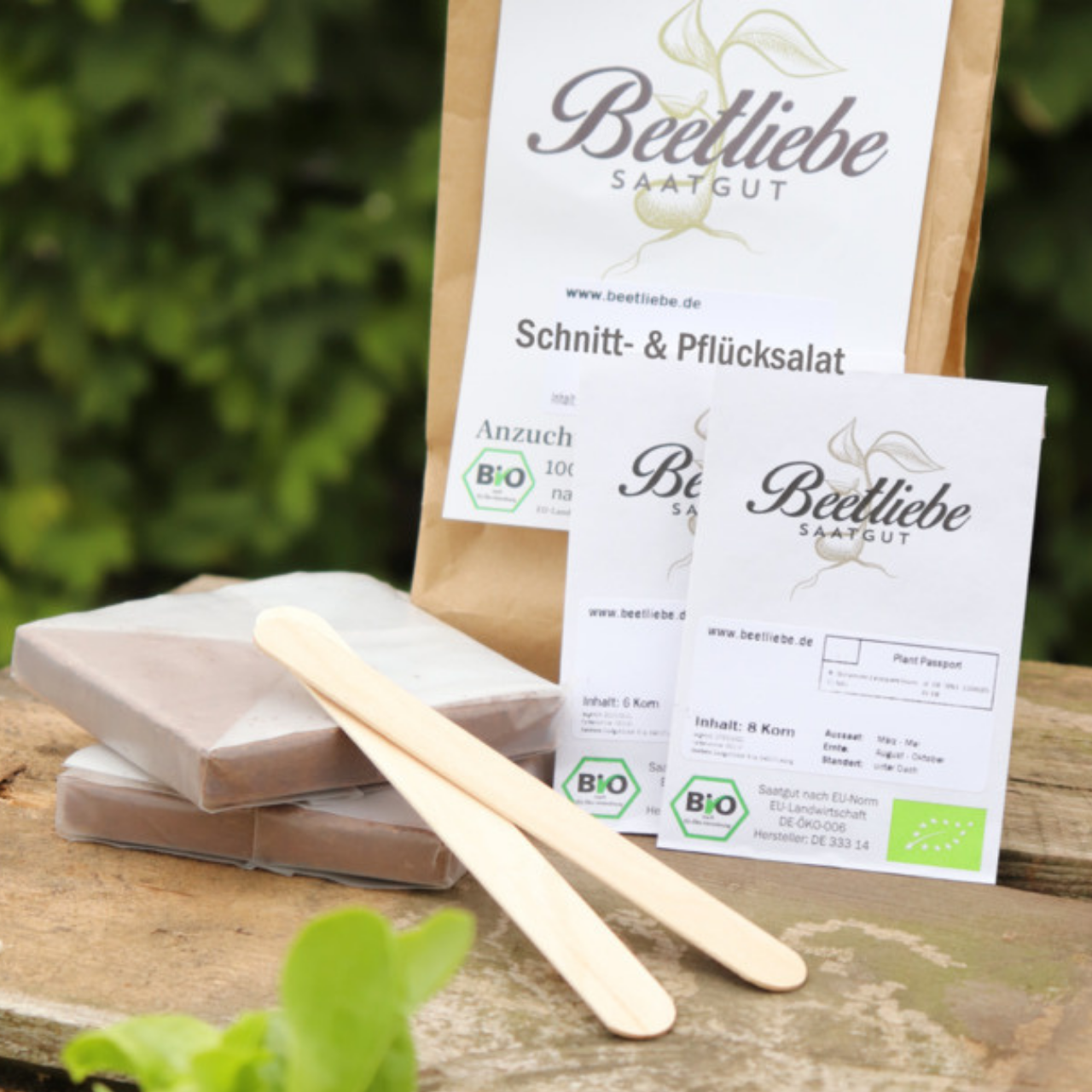 Anzucht-Set "Schnitt- & Pflücksalat" [26, 29]