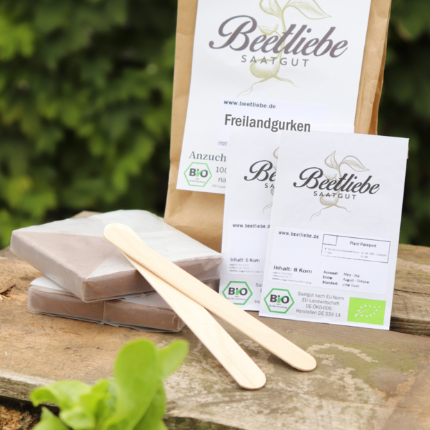 Anzucht-Set "Freilandgurke"