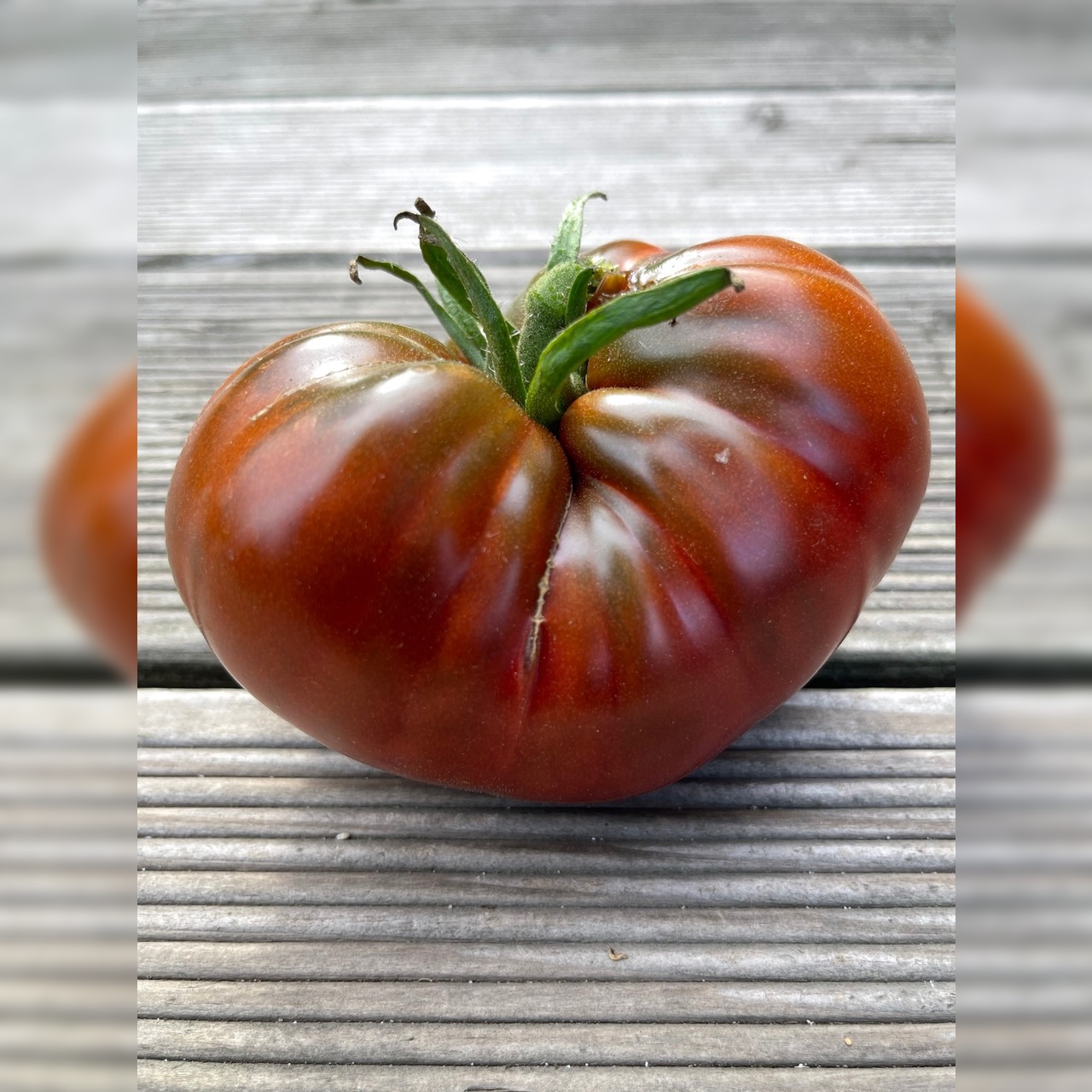 BIO Tomatensamen Set