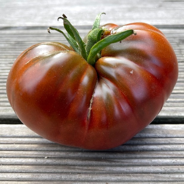 BIO Tomatensamen Set