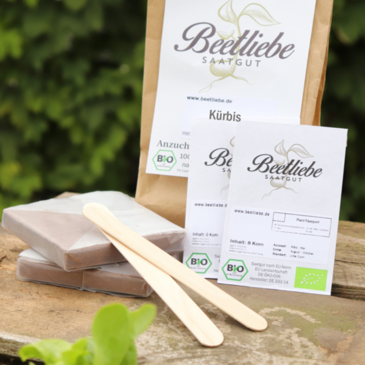 Anzucht-Set "Kürbis" [60, 61]