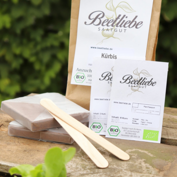 Anzucht-Set "Kürbis" [60, 61]