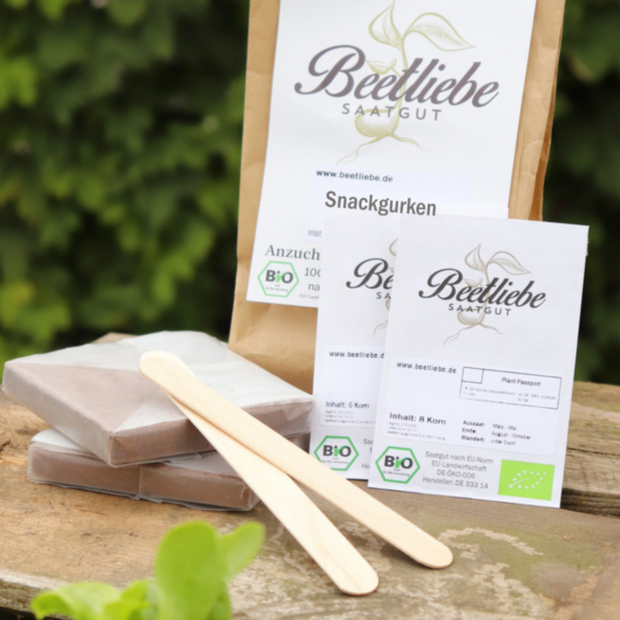 Anzucht-Set "Snackgurken"