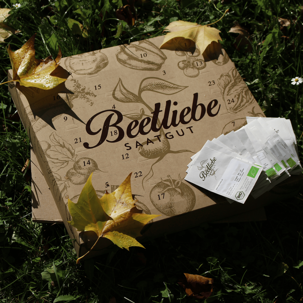 BIO Gemüsesamen Adventskalender 2025 (inkl. alter Sorten)