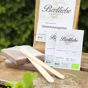 Anzucht-Set "Gewächshausgurken"