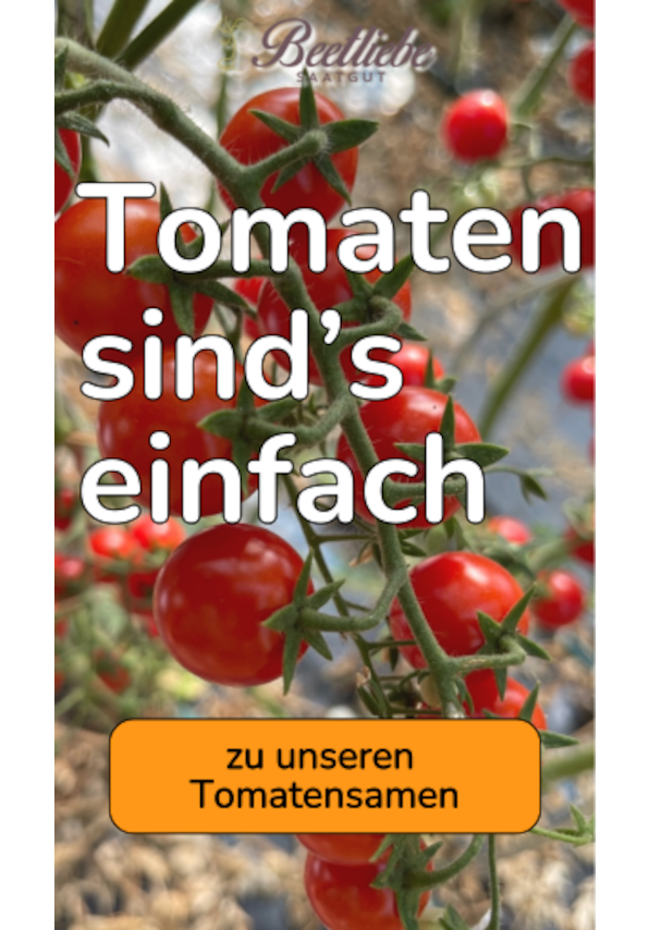 BIO Tomatensamen kaufen - samenfestes Saatgut | Beetliebe